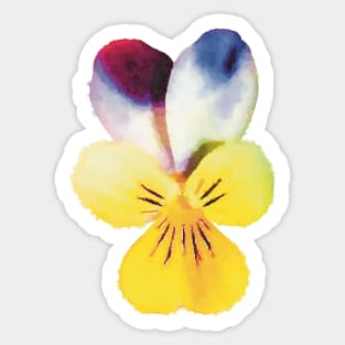 Yellow and Purple Johnny Jump-Up Flower Sticker